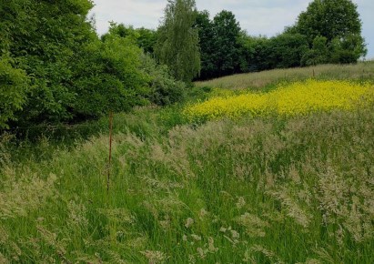 działka na sprzedaż - Cieszyn, Marklowice