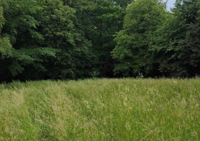 działka na sprzedaż - Cieszyn, Marklowice