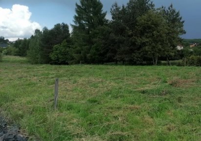 działka na sprzedaż - Rydułtowy, Radoszowy