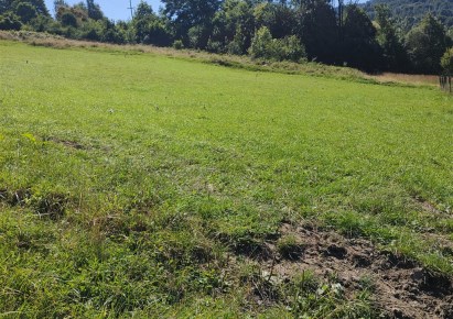działka na sprzedaż - Ślemień, Kocoń
