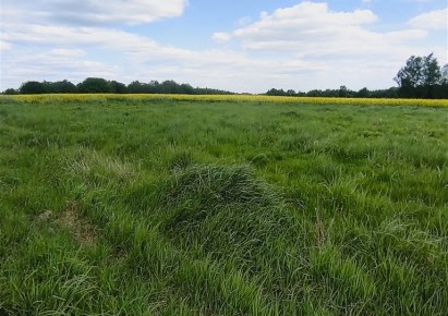 działka na sprzedaż - Wodzisław Śląski, Wilchwy