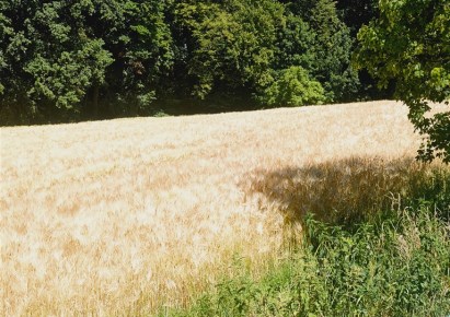 działka na sprzedaż - Jasienica, Międzyrzecze Dolne