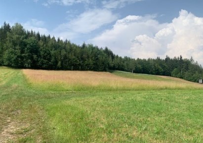 działka na sprzedaż - Istebna, Jaworzynka