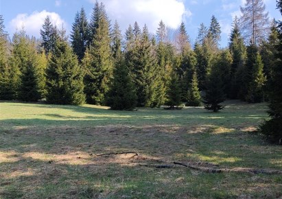 działka na sprzedaż - Jeleśnia, Korbielów