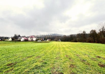 działka na sprzedaż - Jeleśnia