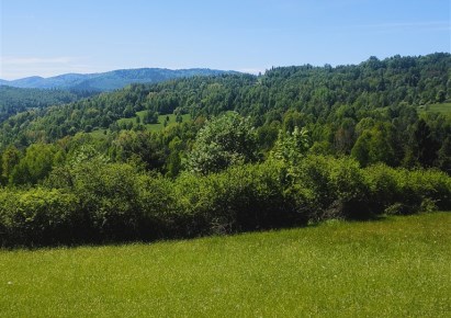 działka na sprzedaż - Ujsoły, Soblówka
