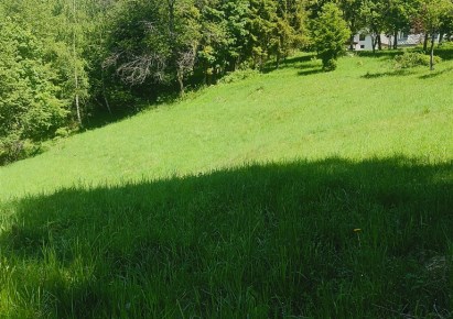 działka na sprzedaż - Rajcza, Rycerka Dolna