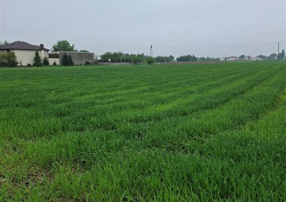 działka na sprzedaż - Kalisz, Zagórzynek